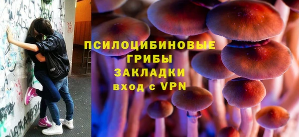 спиды Всеволожск