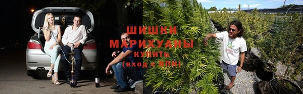 дмт Вуктыл