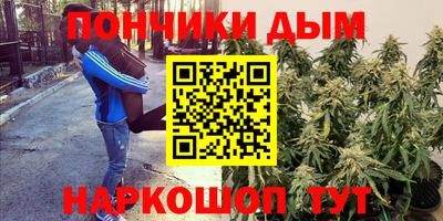 Альфа ПВП Дубна